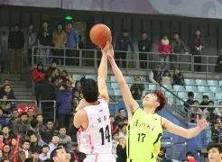 大连男篮战胜对手,取得必要胜利吗